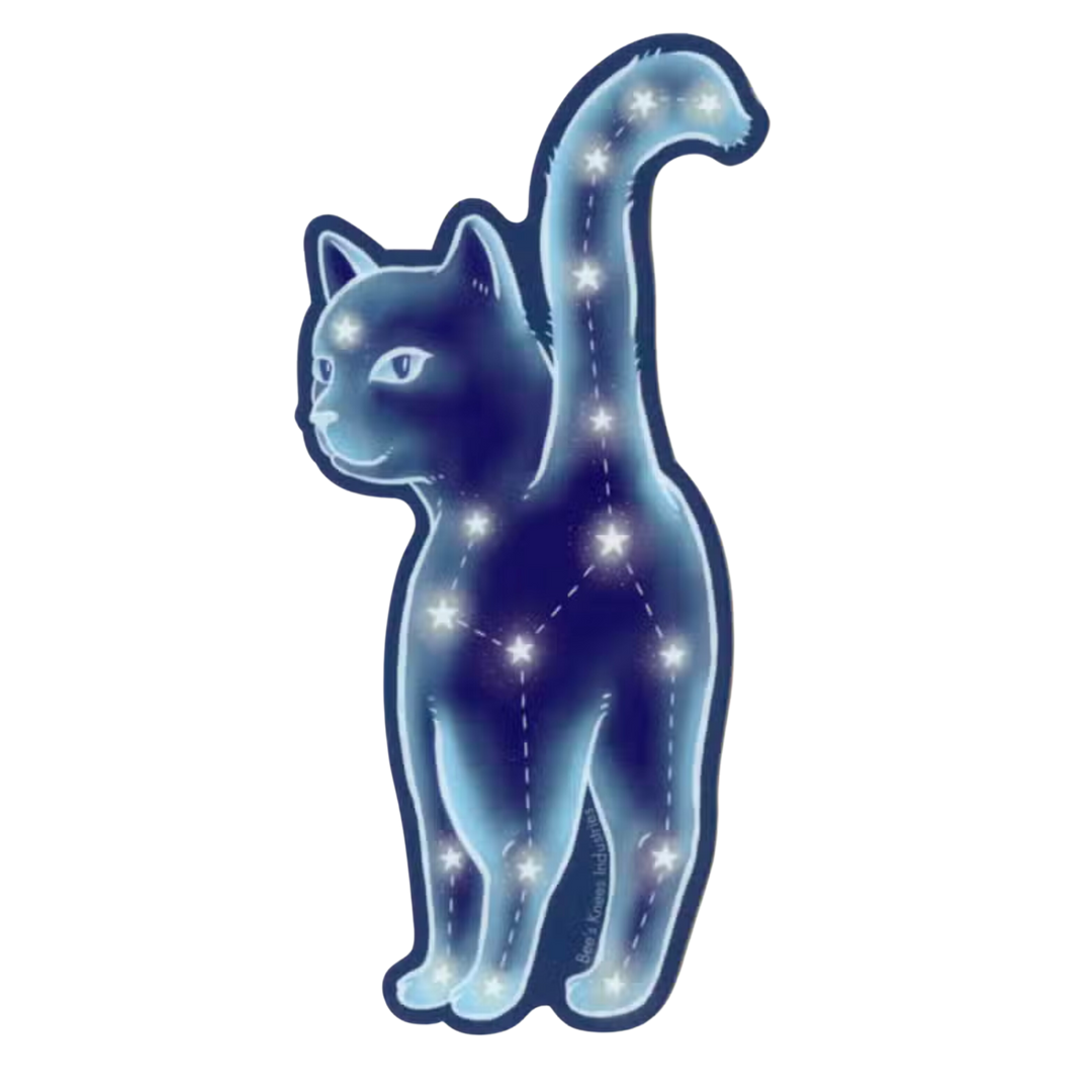 Galactic Goodbye Vinyl Sticker