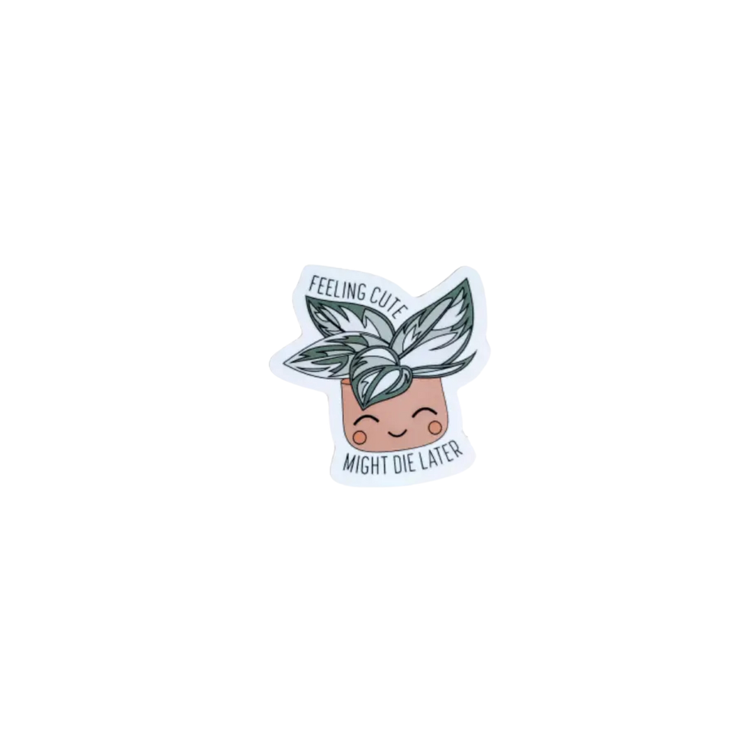 Feeling Cute Vinyl Sticker