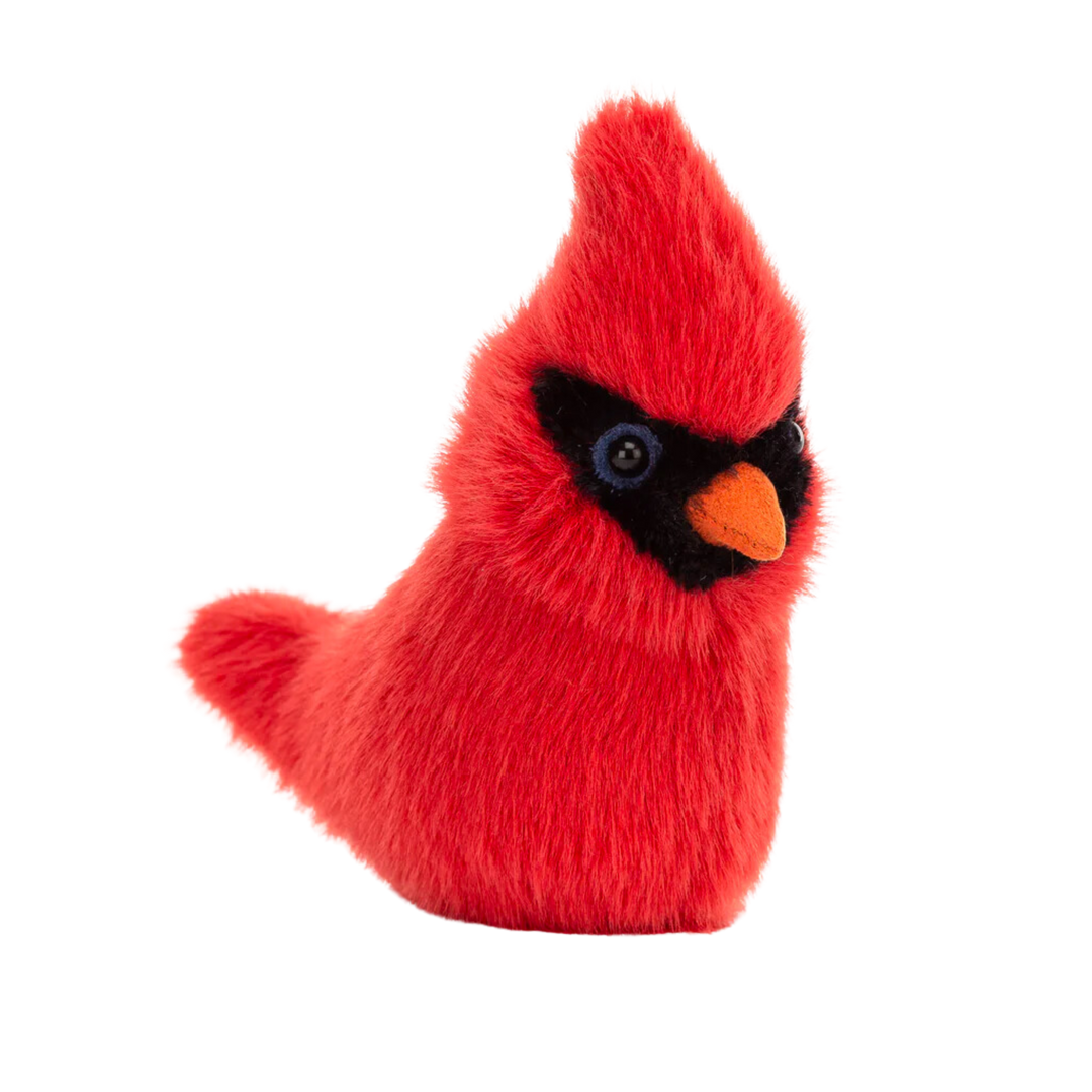 Birdling Cardinal