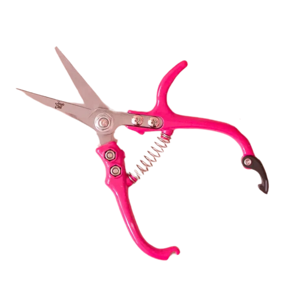 Pruning Shears