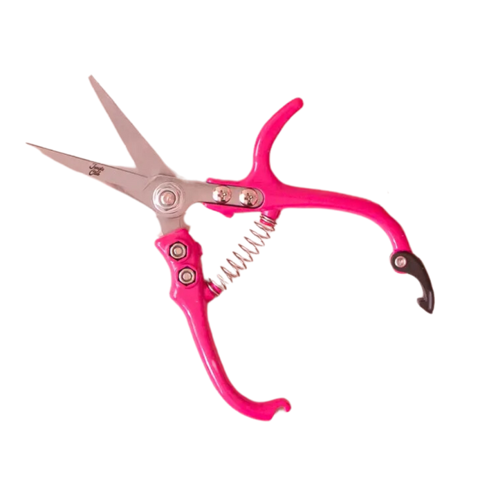 Pruning Shears