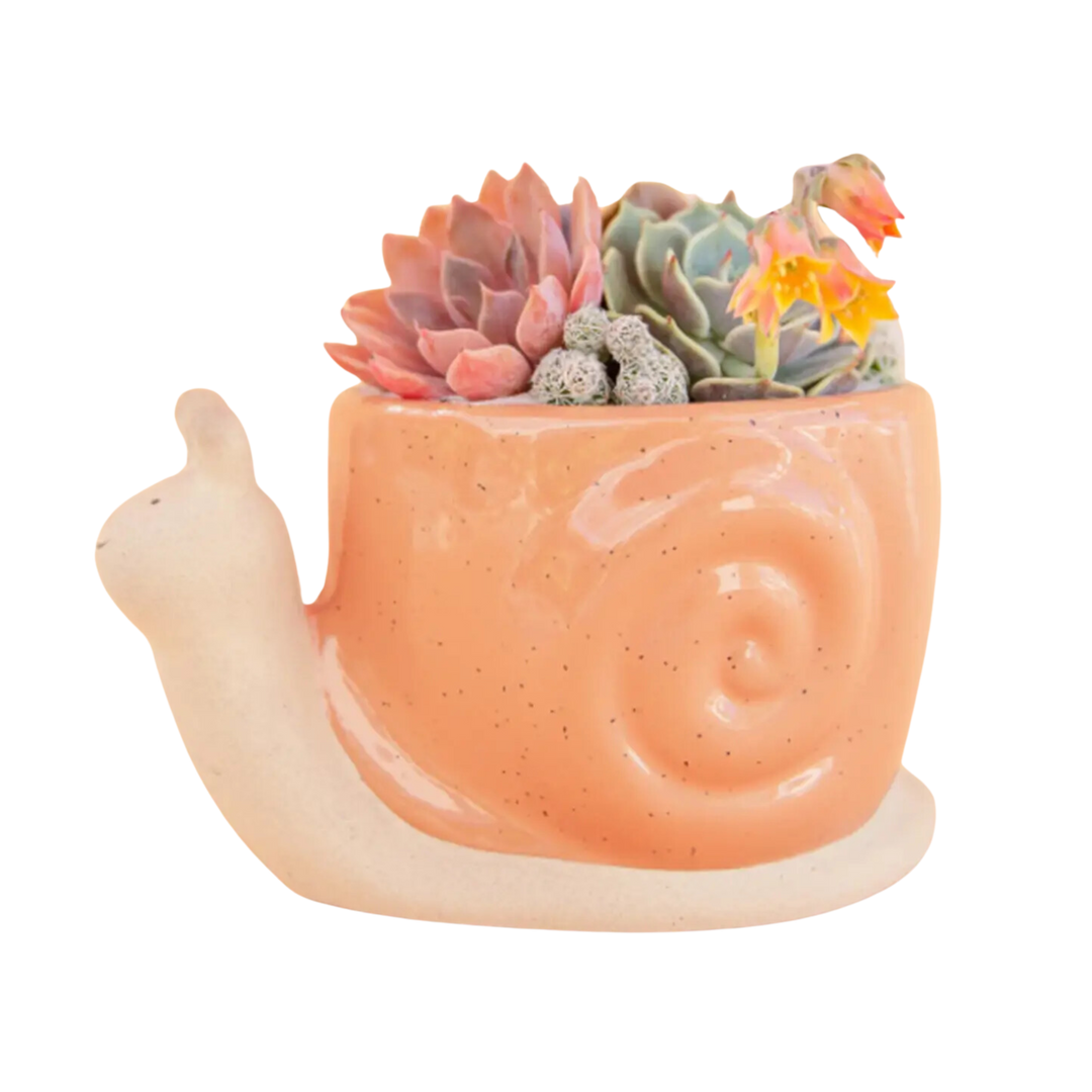 Snail Planter - Sunset