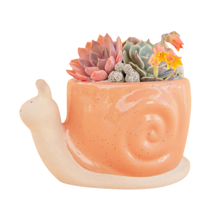 Snail Planter - Sunset