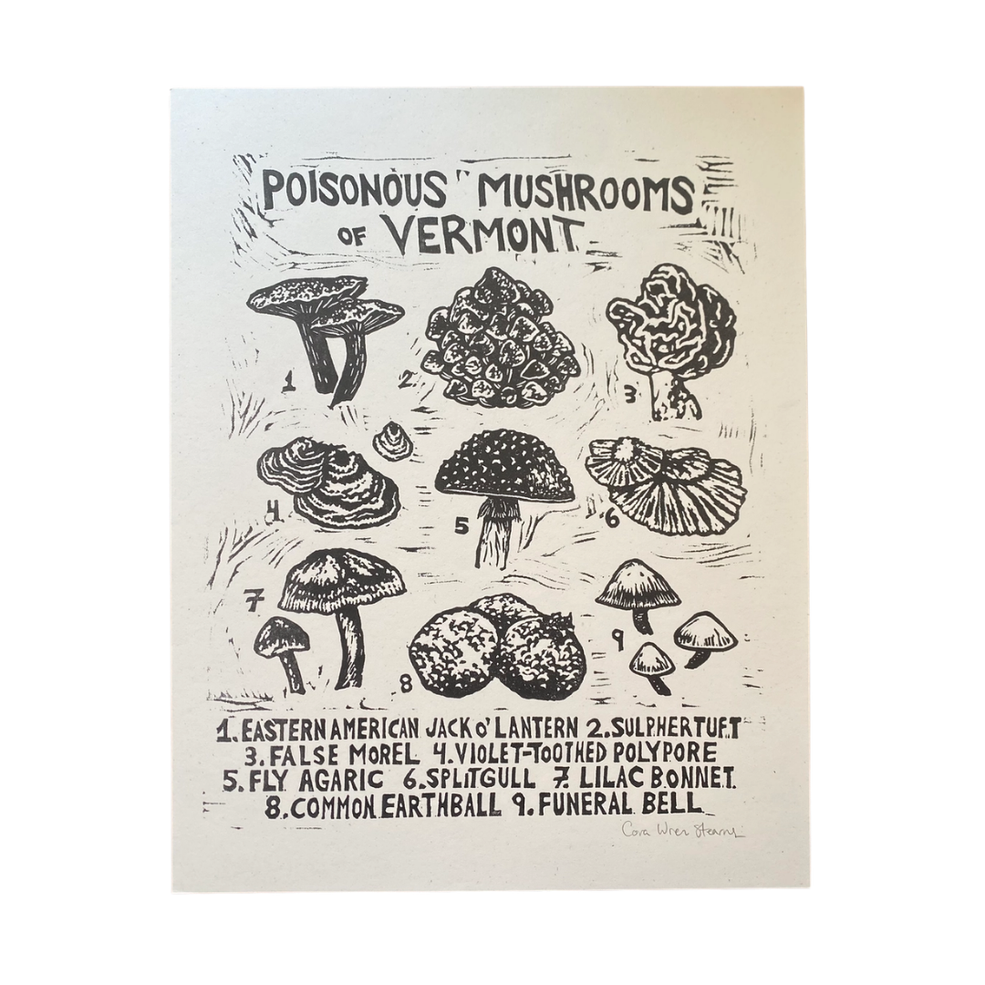 Poisonous Mushrooms of Vermont Risograph Print