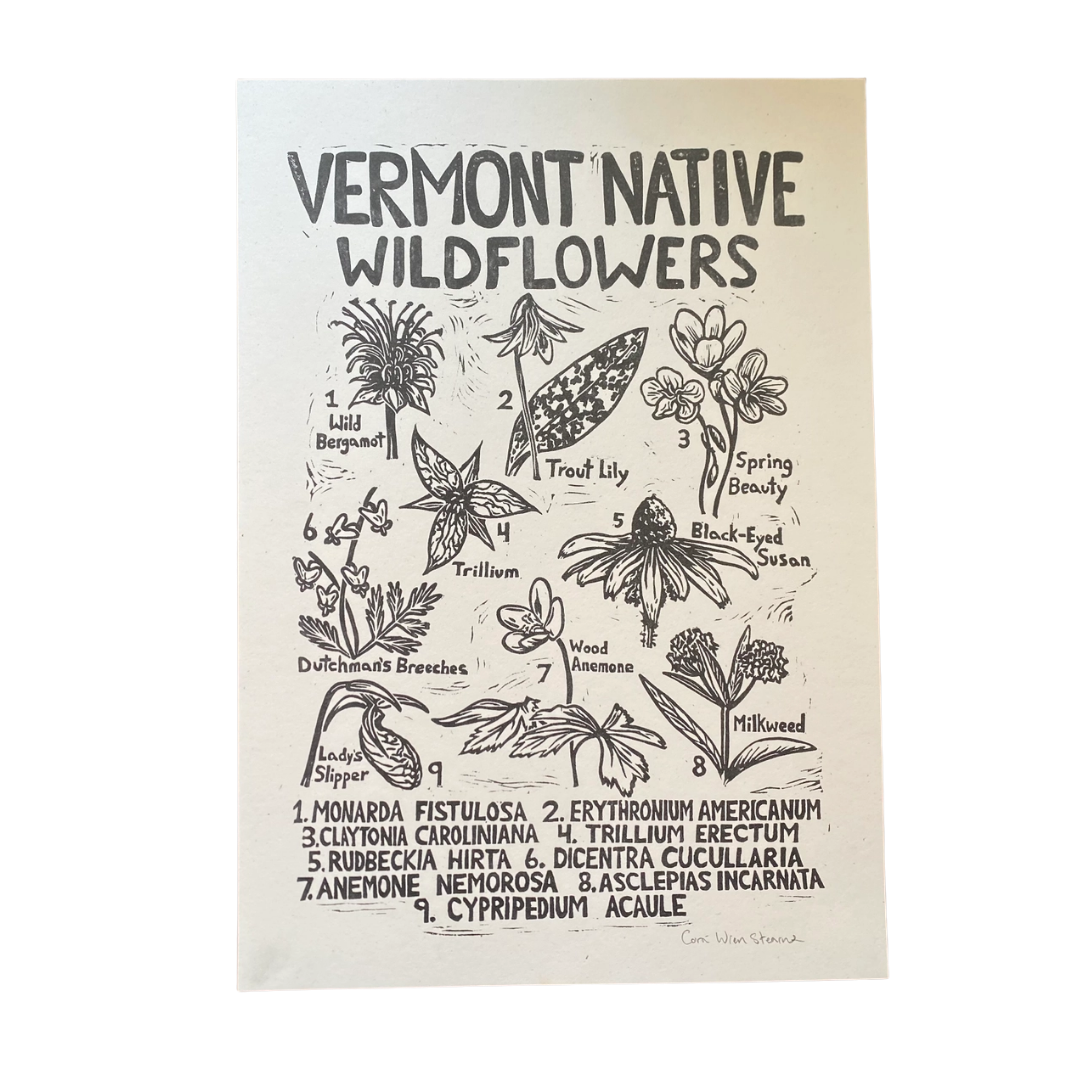 Vermont Native Wildflowers Risograph Print