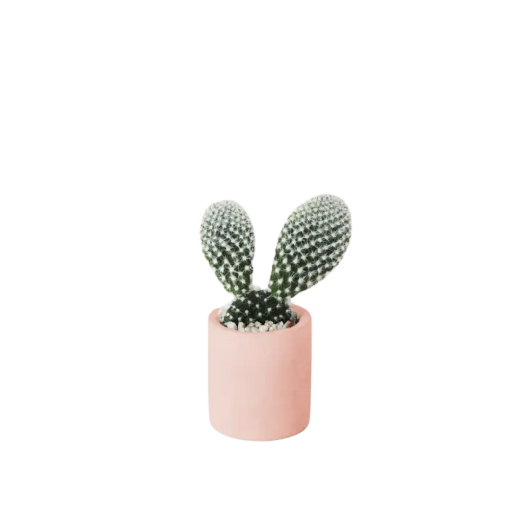 Tiny Pot