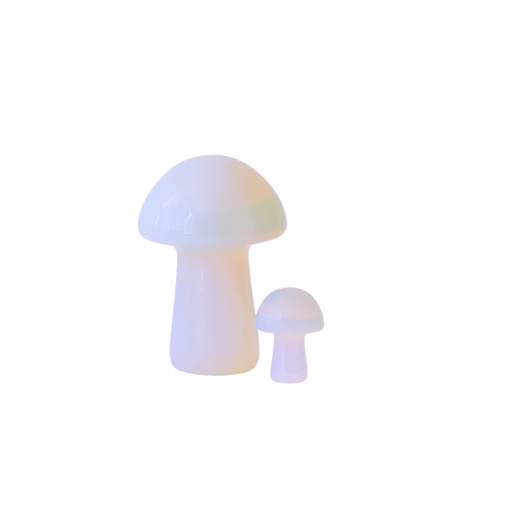 Opal Mushroom