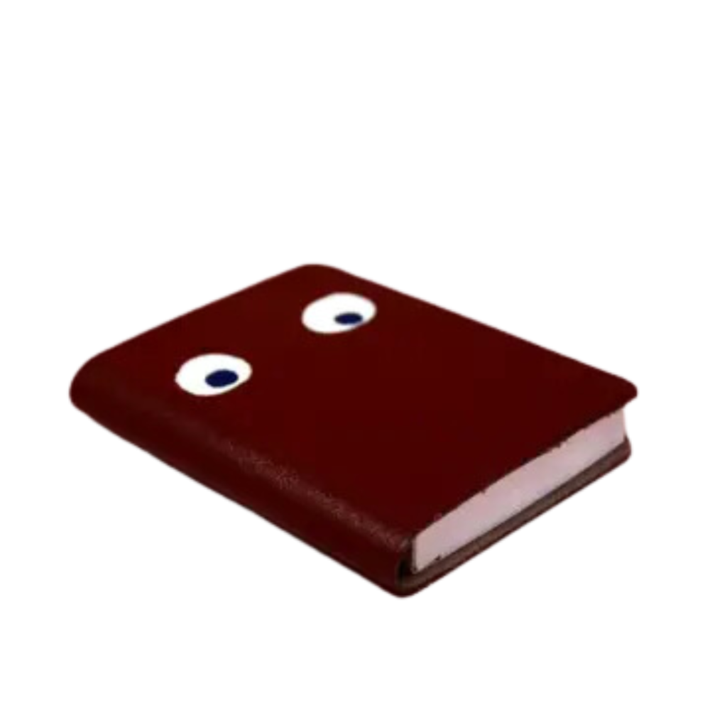 Googly Eye Mini Leather Notebook