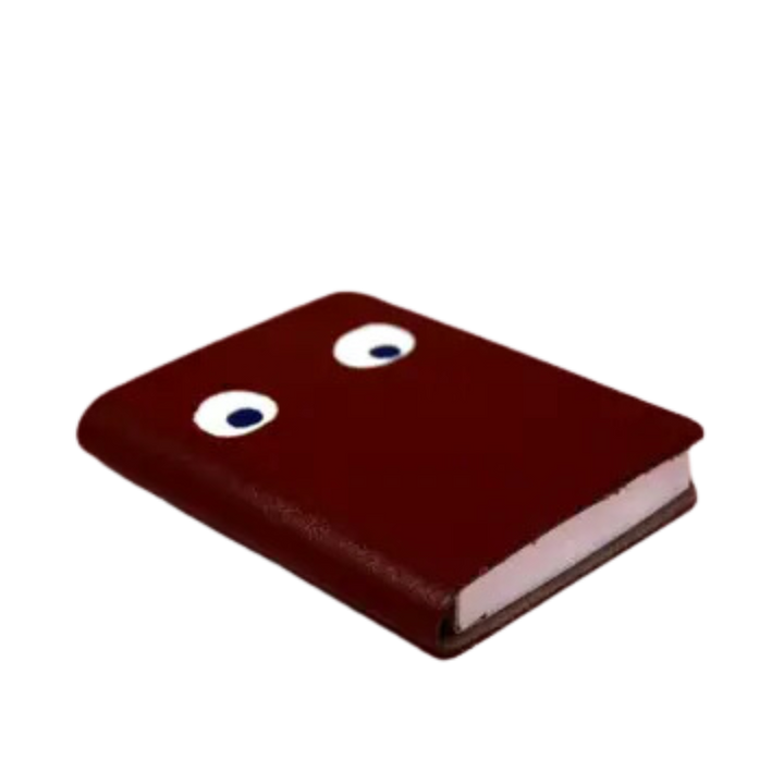 Googly Eye Mini Leather Notebook