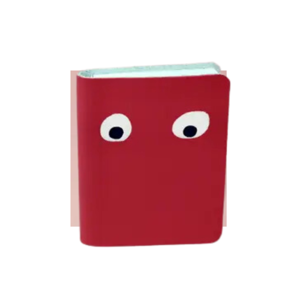 Googly Eye Mini Leather Notebook