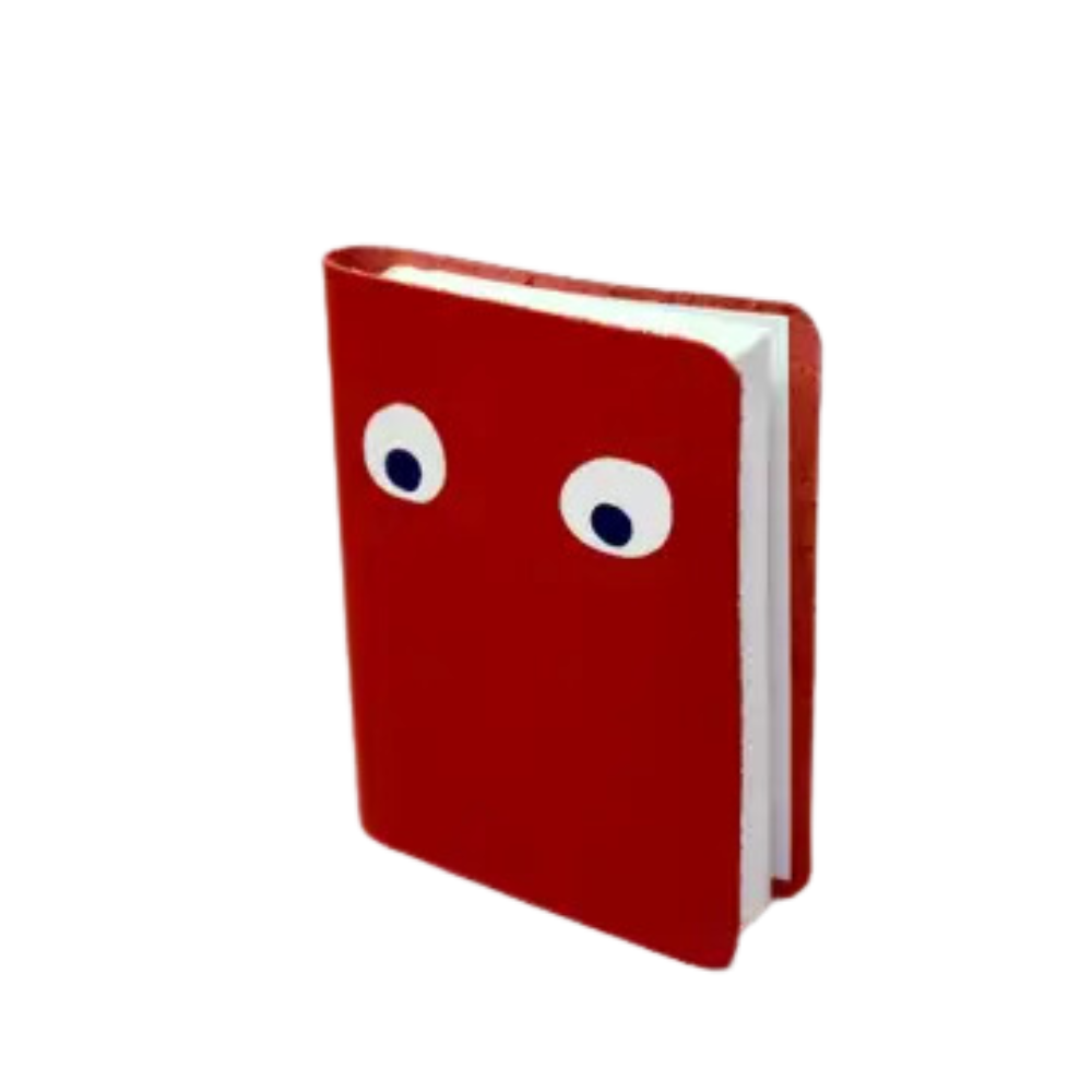 Googly Eye Mini Leather Notebook