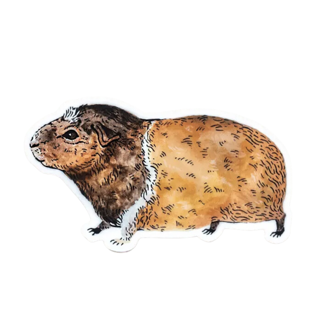 Guinea Pig Animal Vinyl Sticker