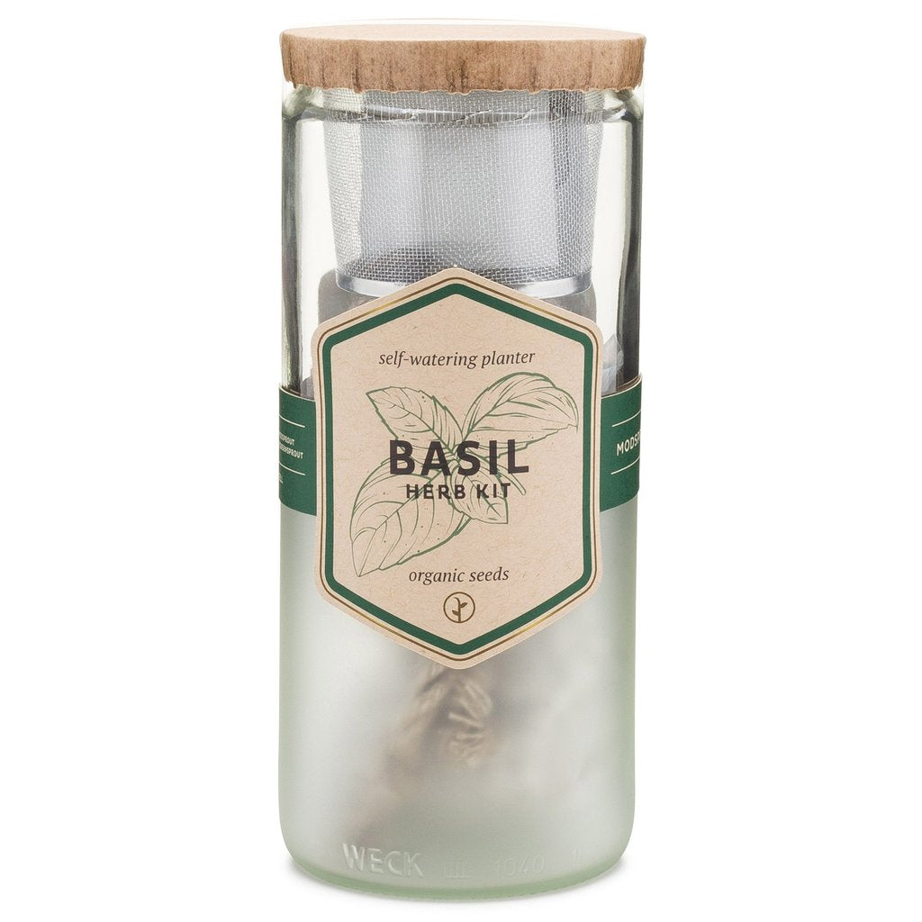 ECO PLANTER - ORGANIC BASIL