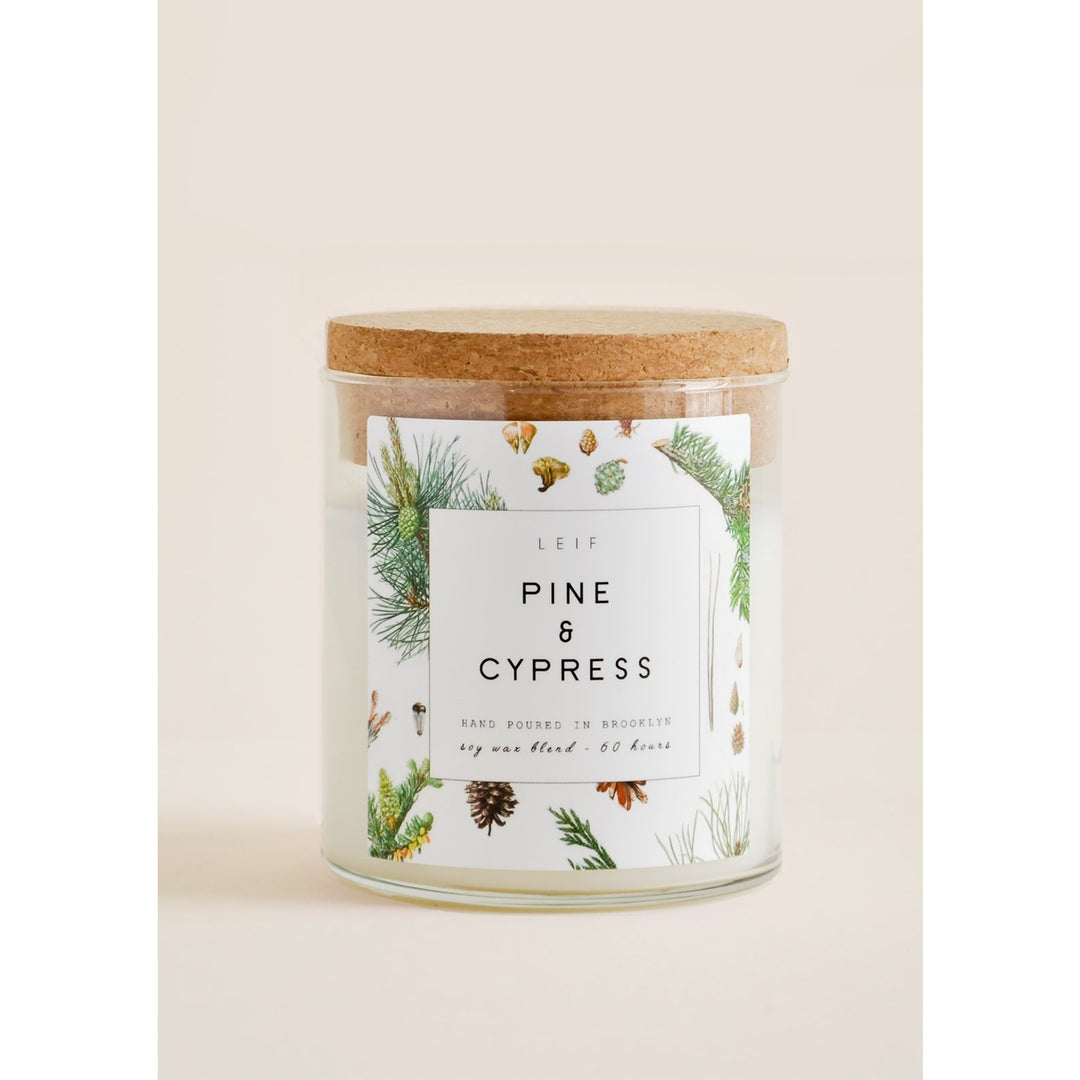 Botanist Candle - Pine & Cypress