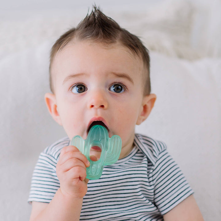 Cutie Coolers™ Cactus Water Filled Teethers (3-pack)