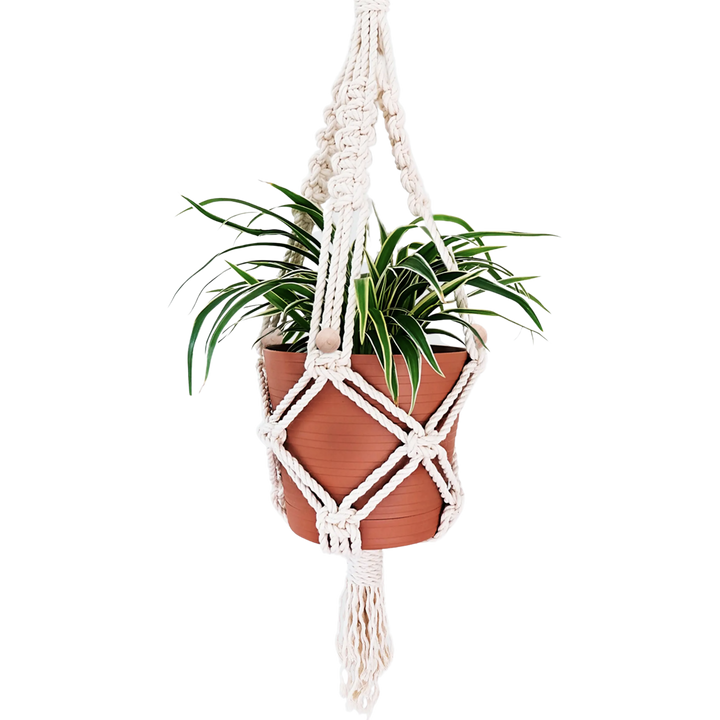 DIY Macrame Kit