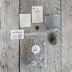 ECO PLANTER - ORGANIC MINT