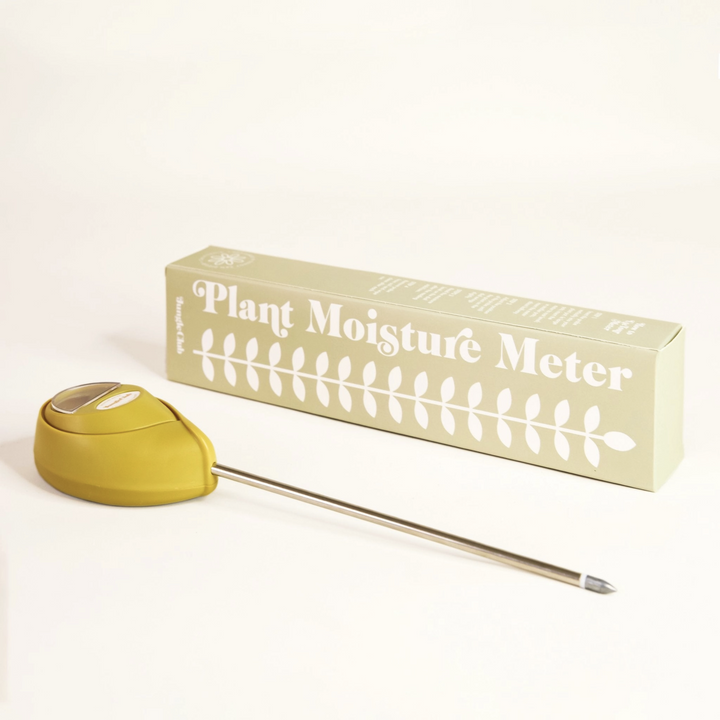 Plant Moisture Meter