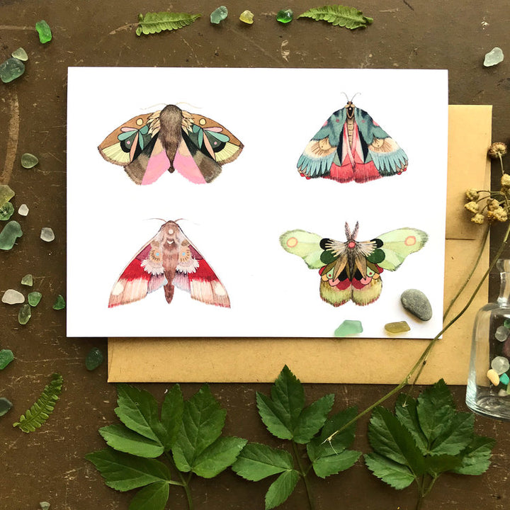 Collector: Moths II - Greeting Card