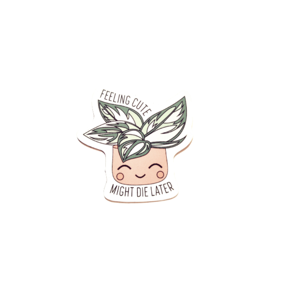 Feeling Cute Magnet
