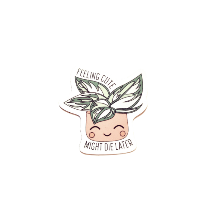 Feeling Cute Magnet
