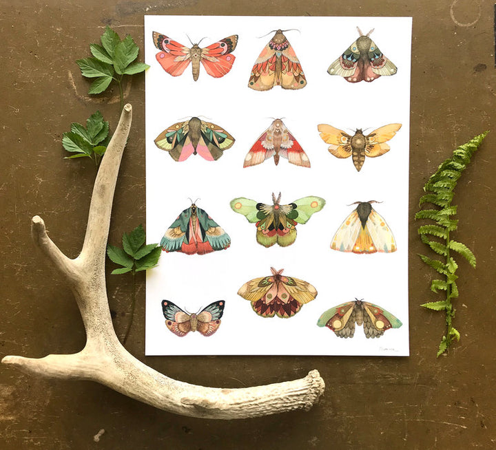 Collector: The Moths - Art Print