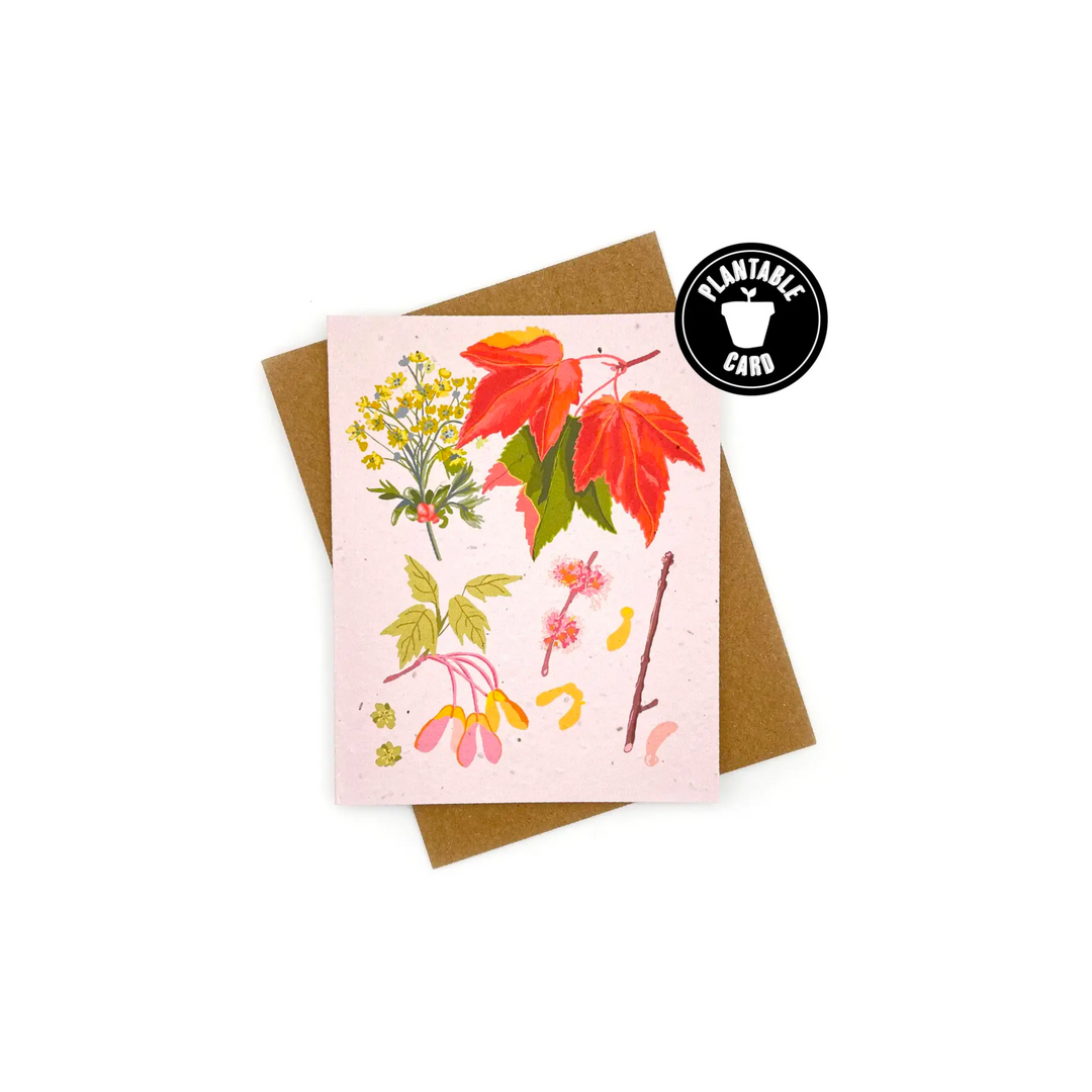 Maple Botanical Blank Plantable Card