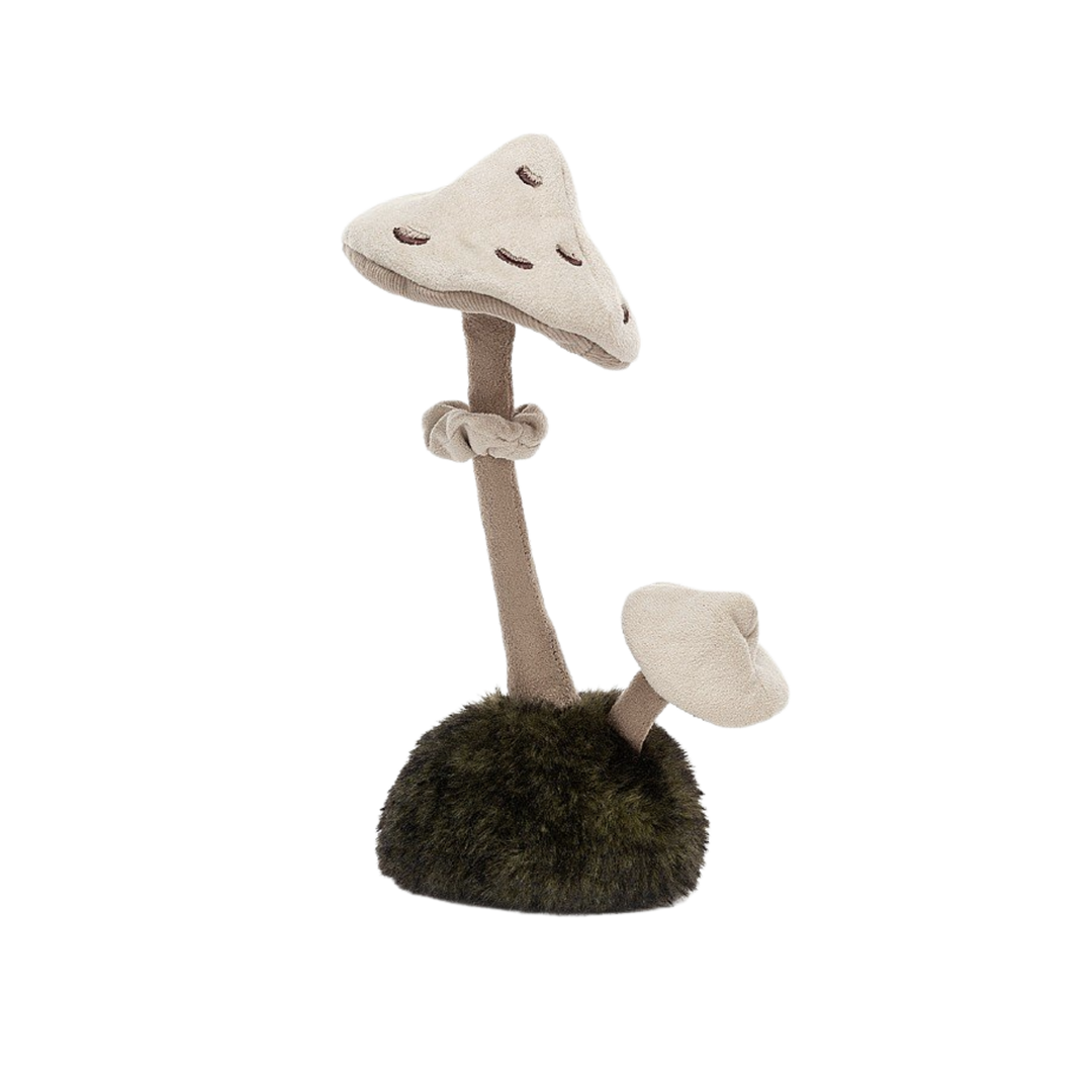 Wild Nature Parasol Mushroom