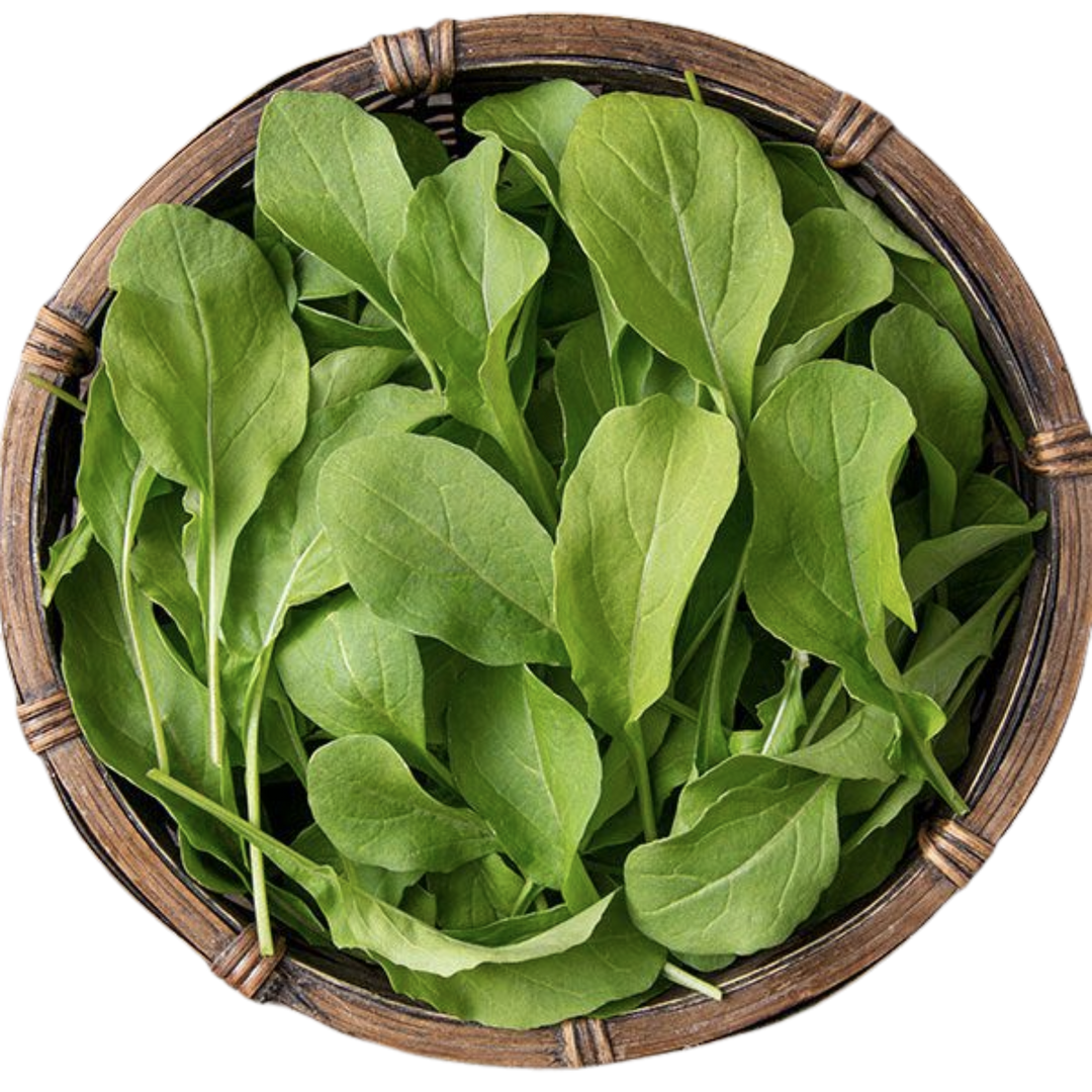Astro Arugula 1/32 ounce
