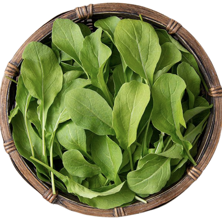 Astro Arugula 1/32 ounce