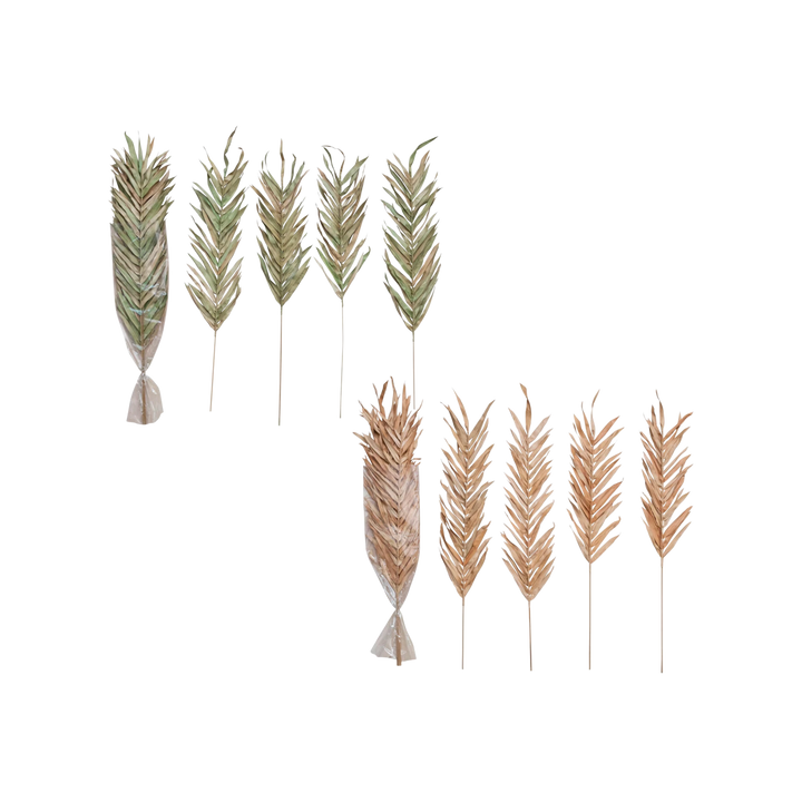Dried Natural Fountain Palm Bunch