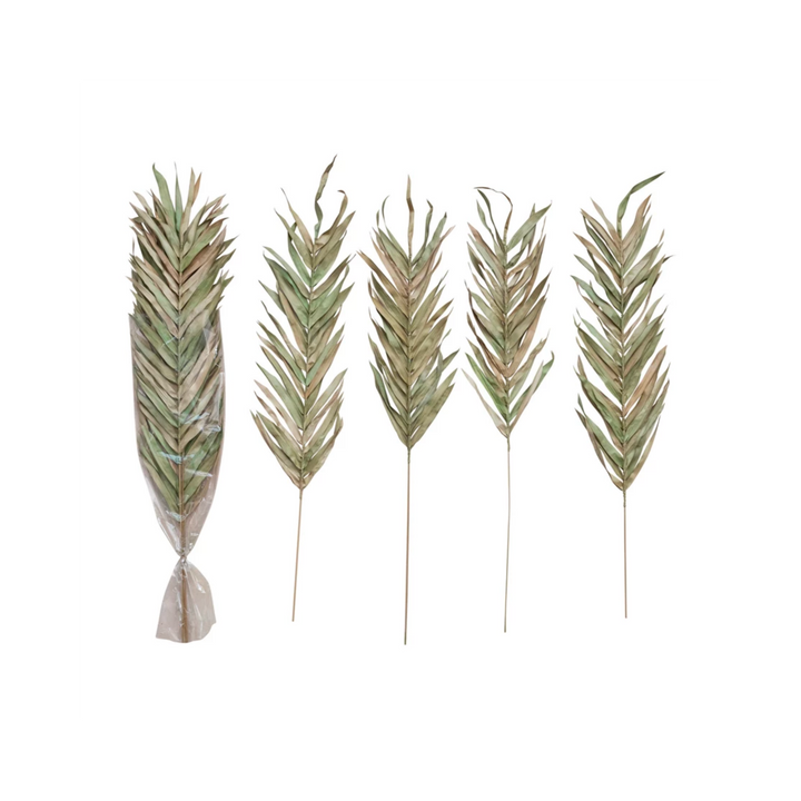 Dried Natural Fountain Palm Bunch