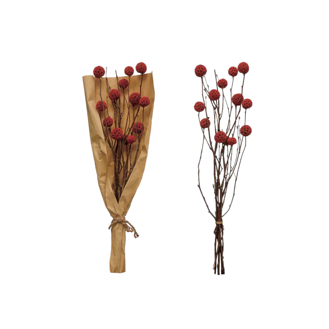 Dried Natural Globe Thistle Bunch, Burnt Red