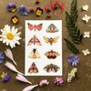 Collector: The Moths Sticker Set