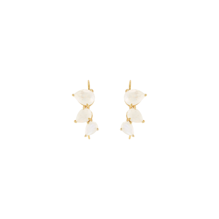 Crawler Earrings Rainbow Moonstone