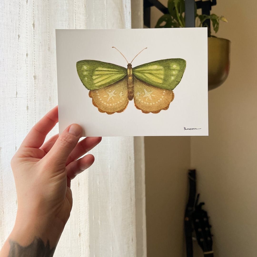 Mineral Moth: Peridot - Art Print