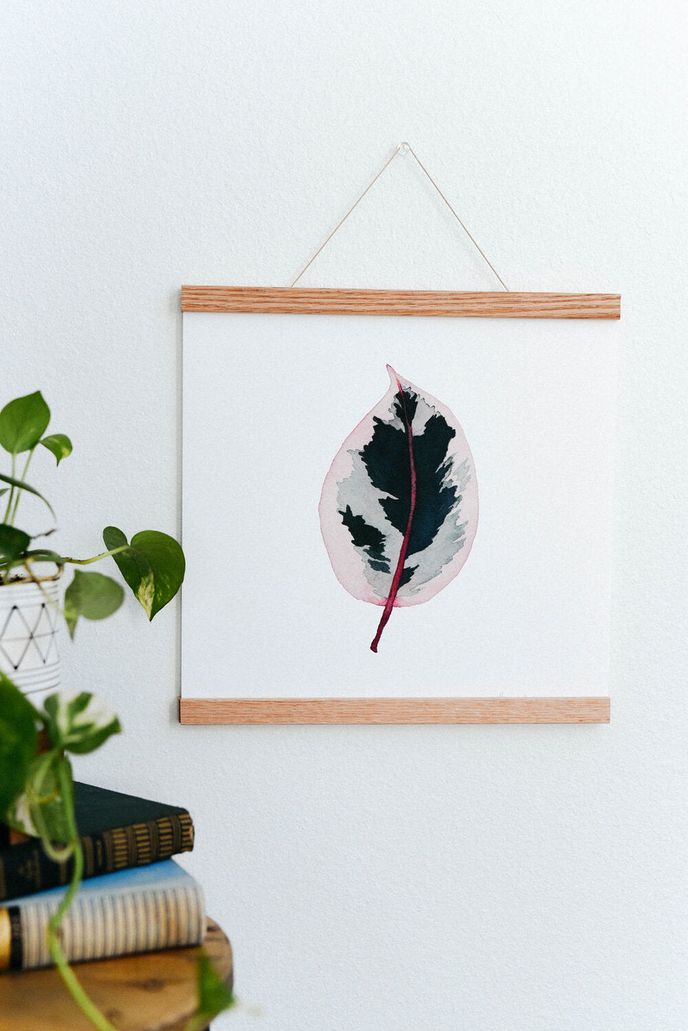 Ficus Ruby Houseplant (Watercolor) Art Print
