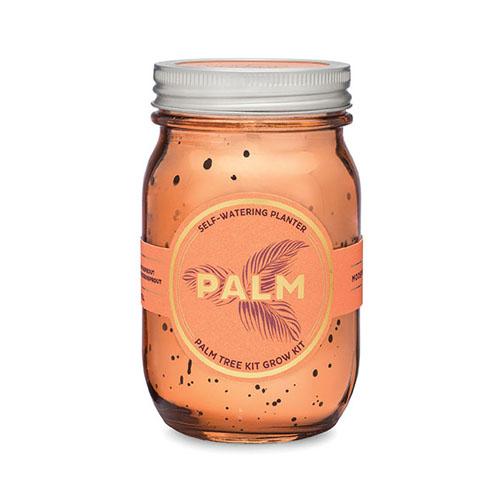 GARDEN JAR - PALM PINT