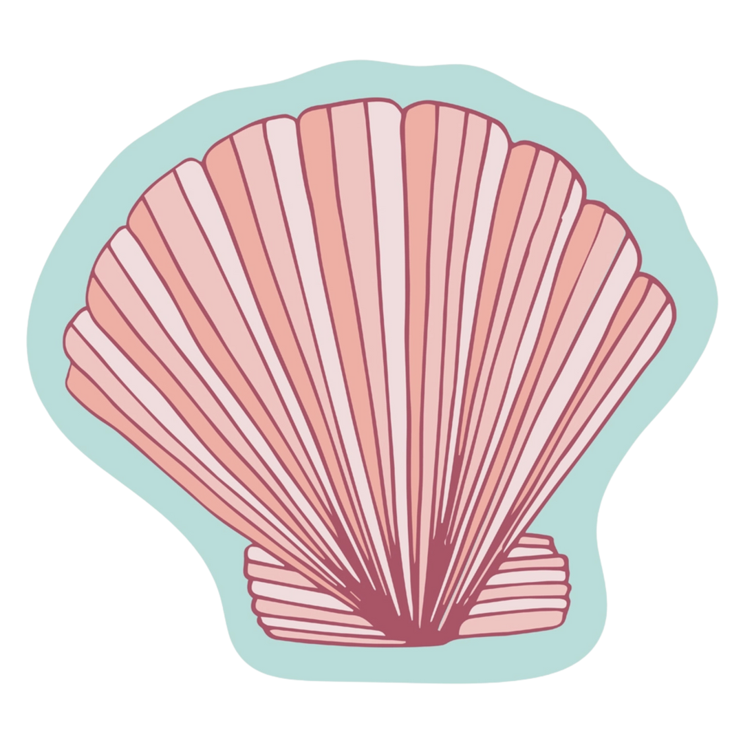 Shell Sticker