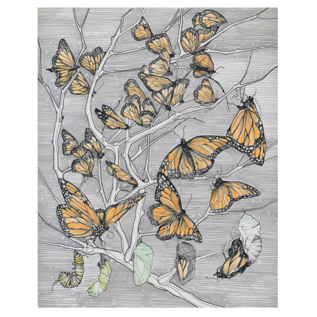 Metamorphosis Print