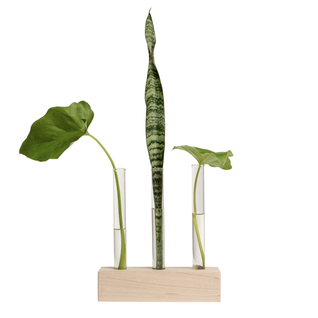 Propagation Station Trio