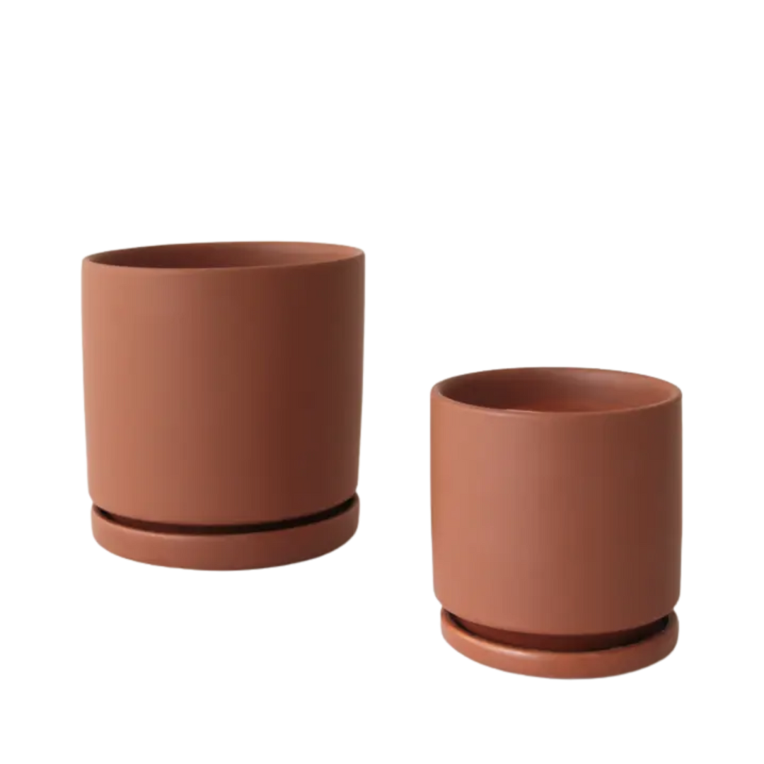 4.5" Gemstone Cylinder Pot with Water Tray