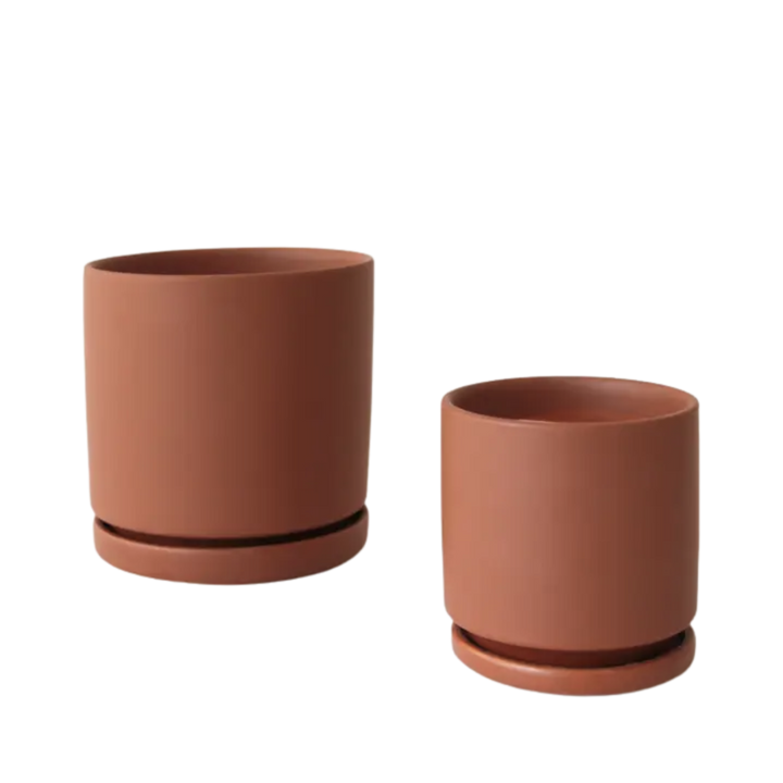 4.5" Gemstone Cylinder Pot with Water Tray