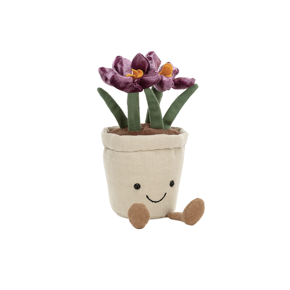 Amuseable Crocus