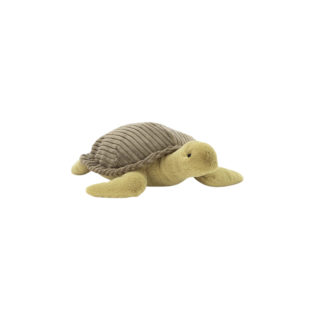 Terence Turtle