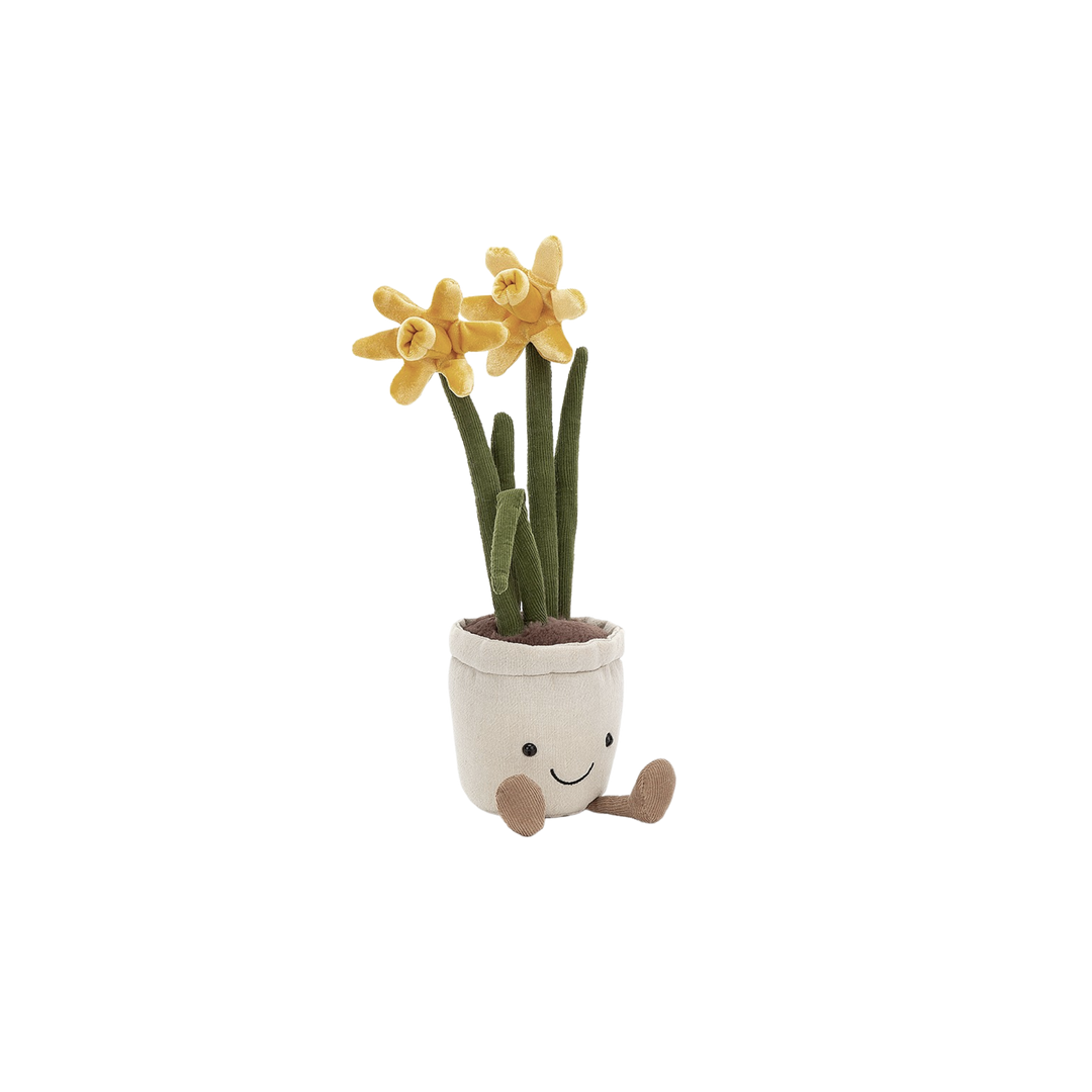 Amuseable Daffodil