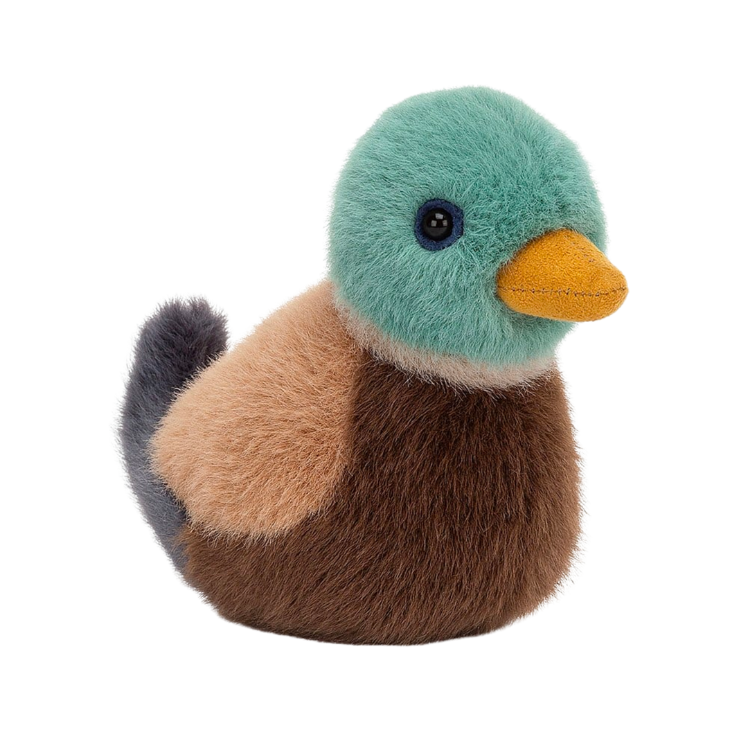 Birdling Mallard