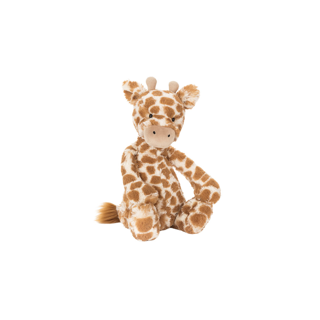 Bashful Giraffe