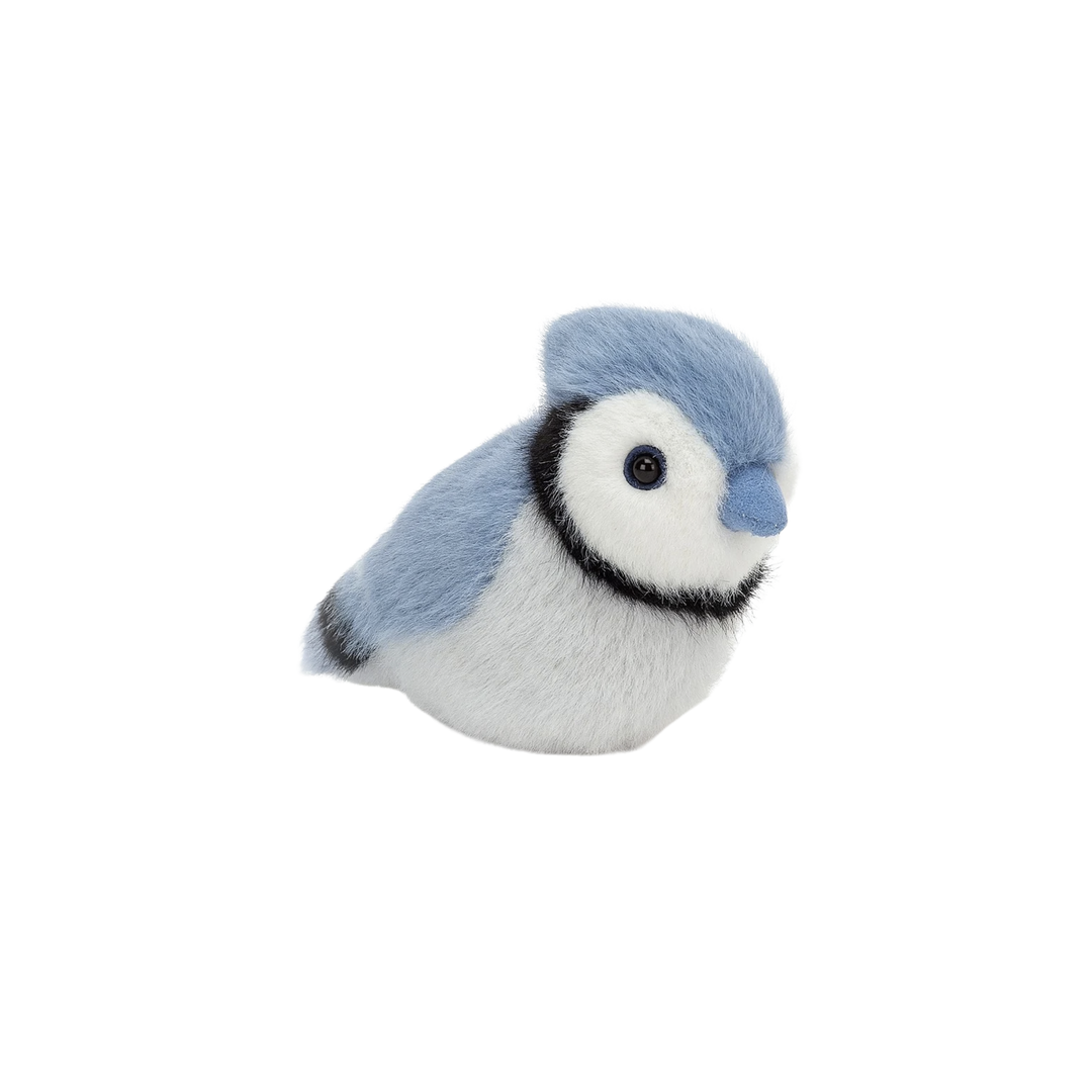 Birdling Blue Jay