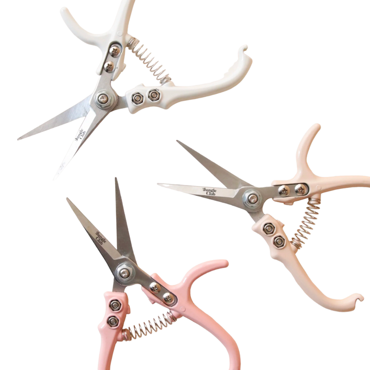 Pruning Shears